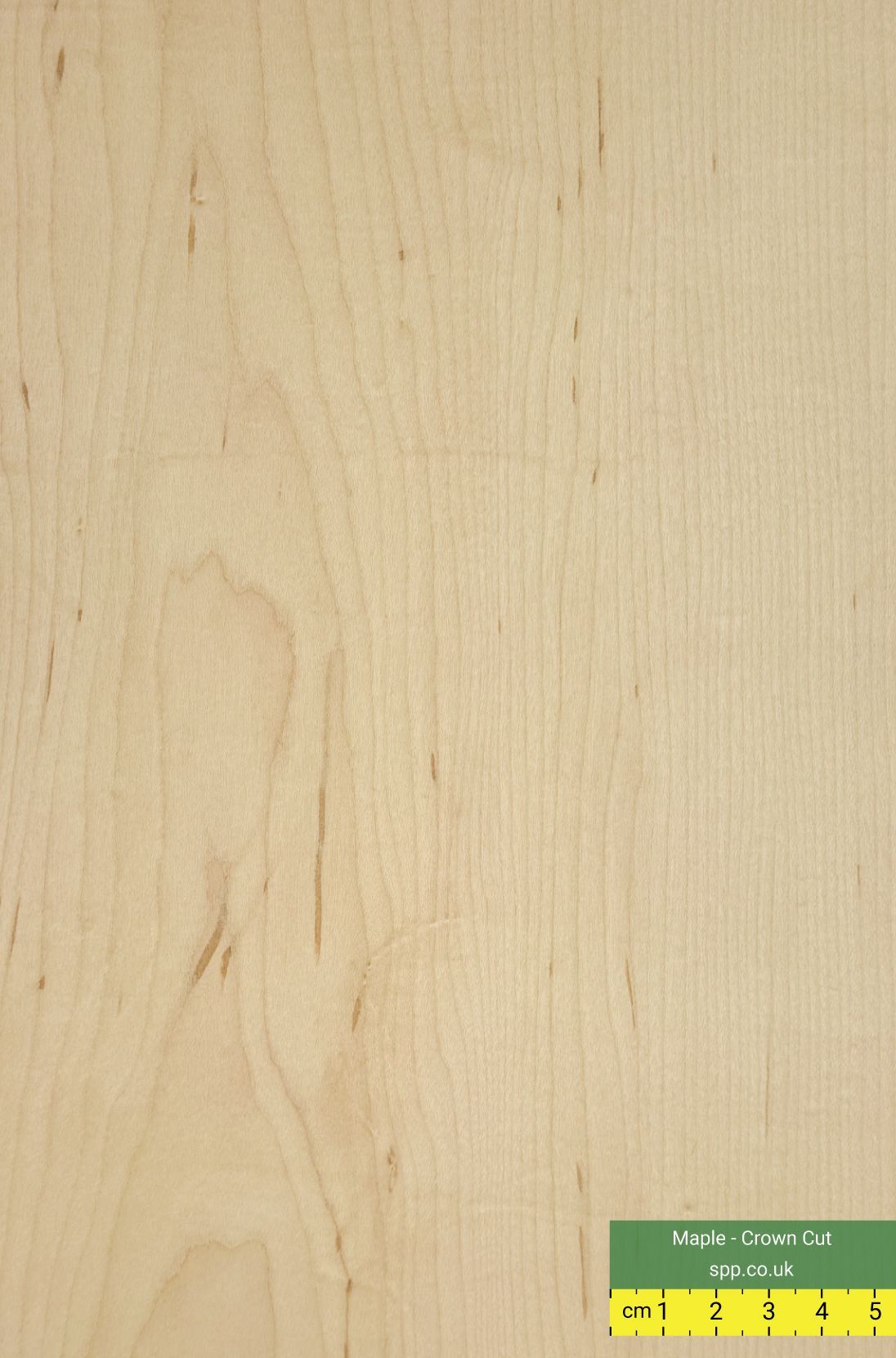 Maple Veneers