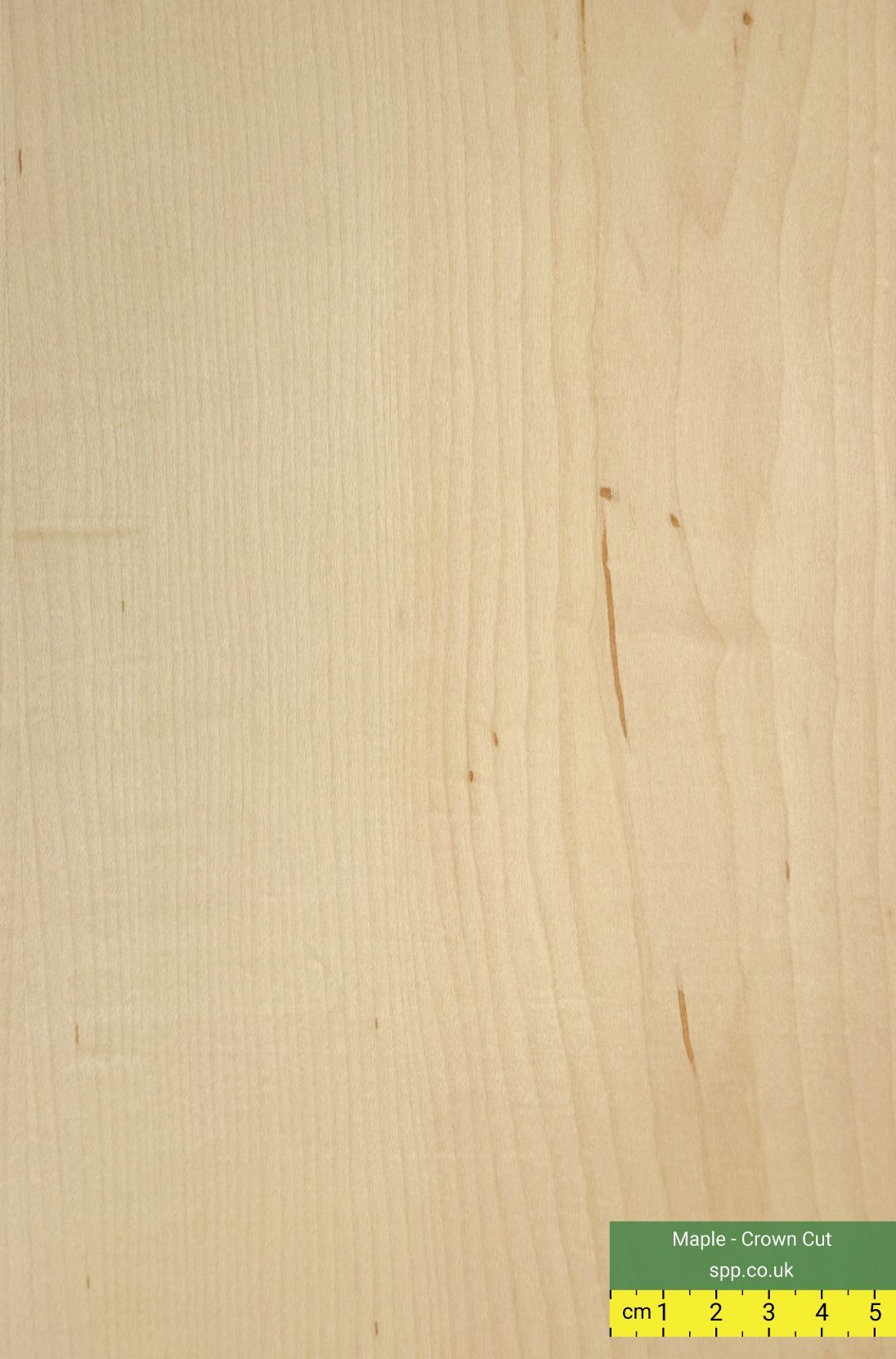 Plywood with Maple Veneers