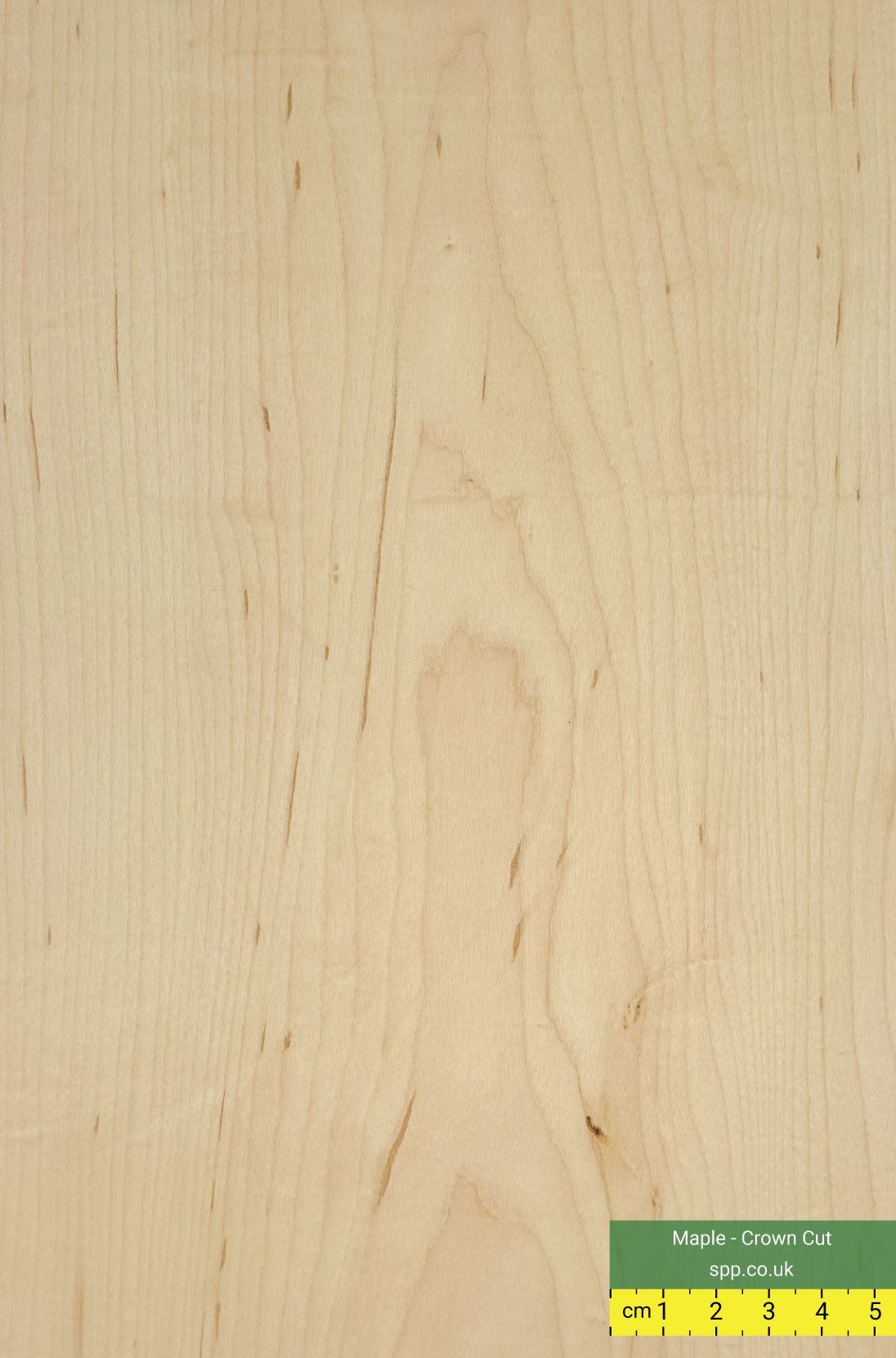 Crown cut Maple Veneers