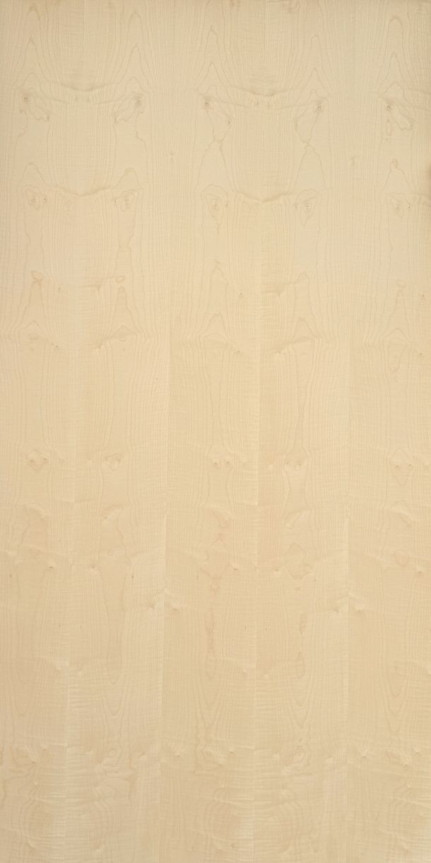 Maple faced Plywood