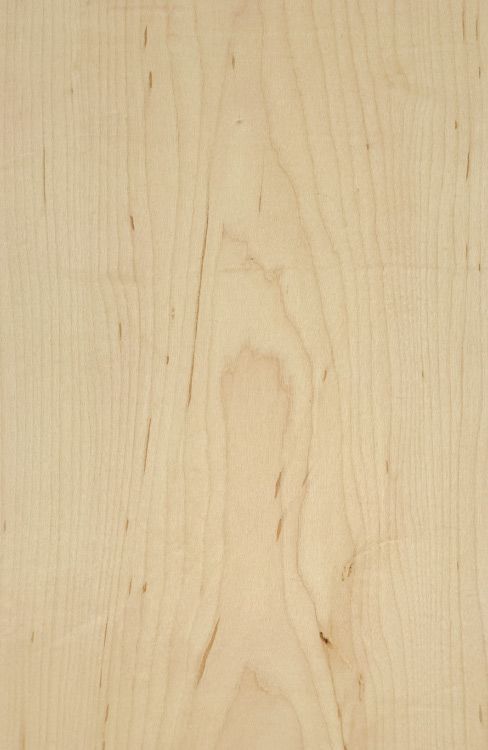Maple faced plywood sheets