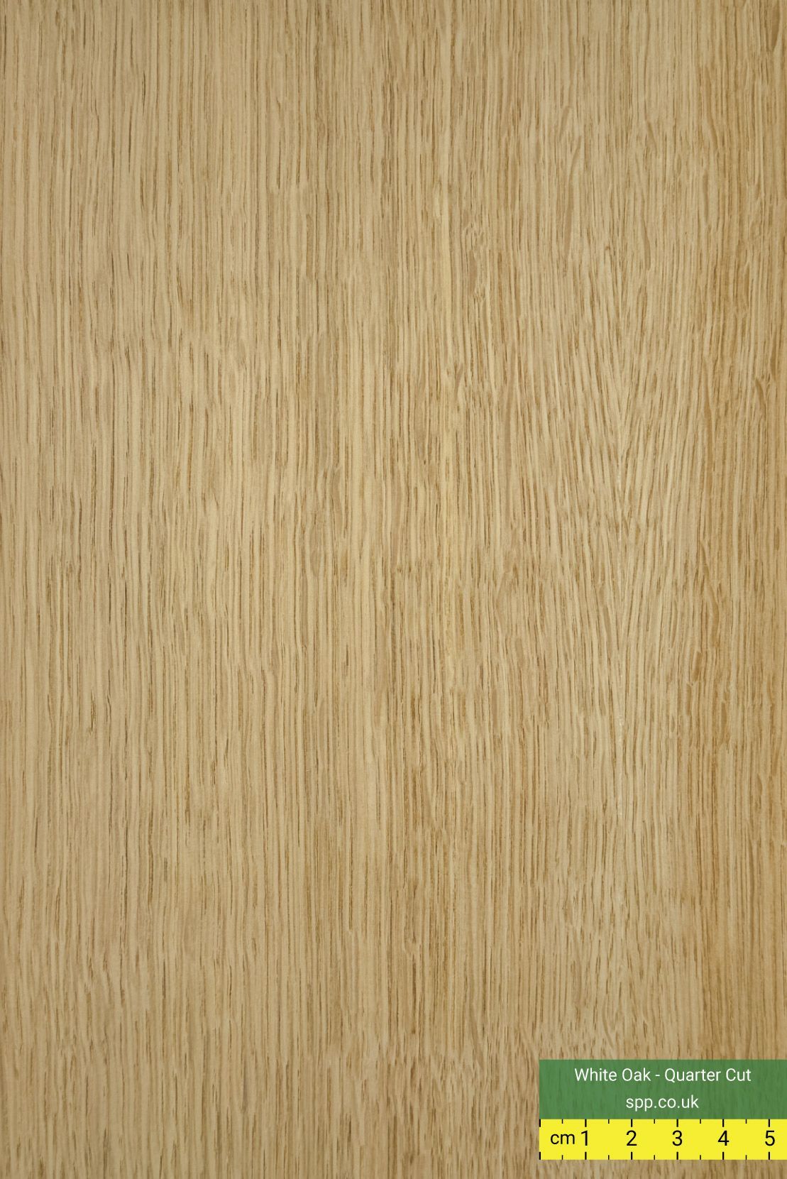 American White Oak Veneered plywood sheets