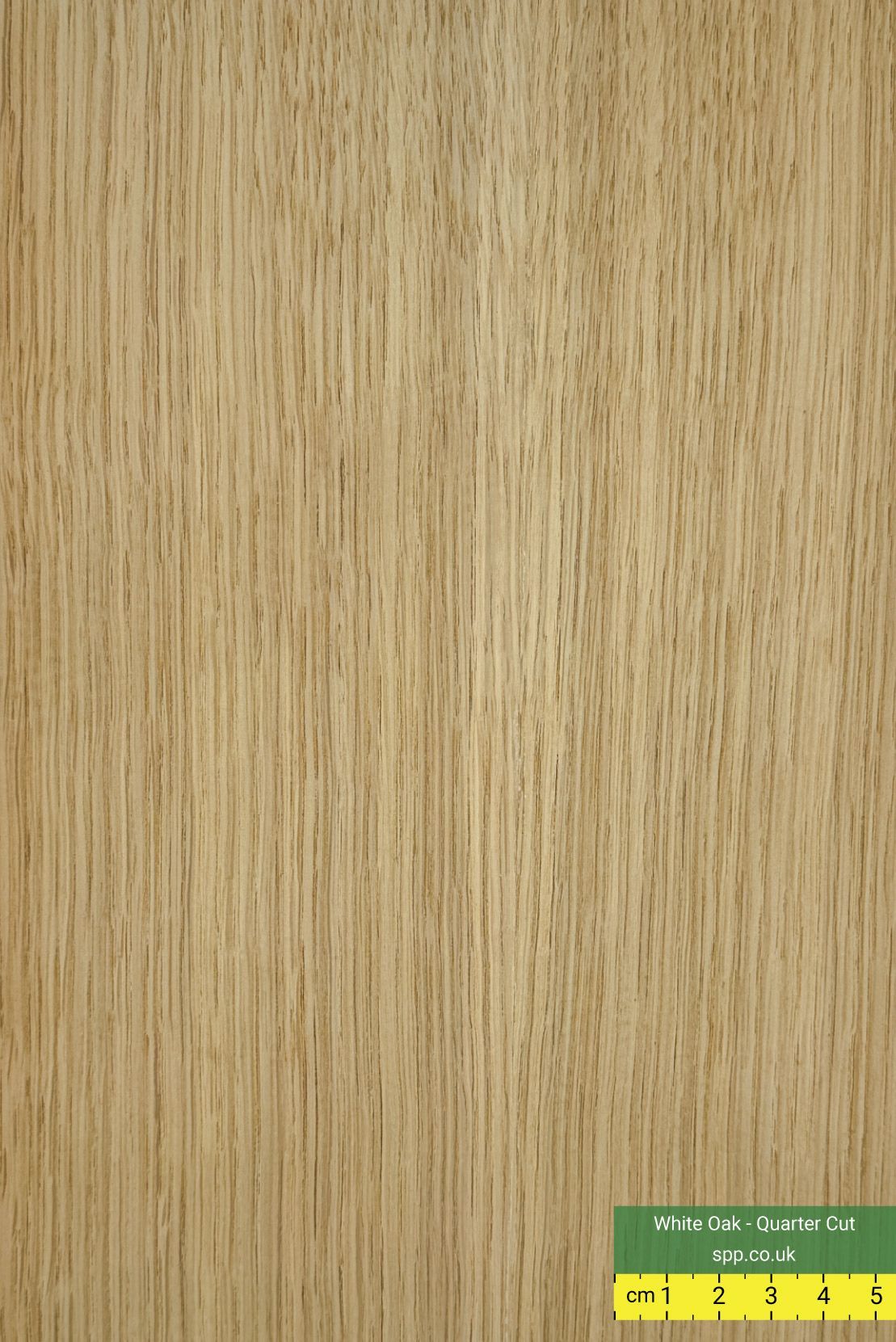 American White Oak Veneered plywood