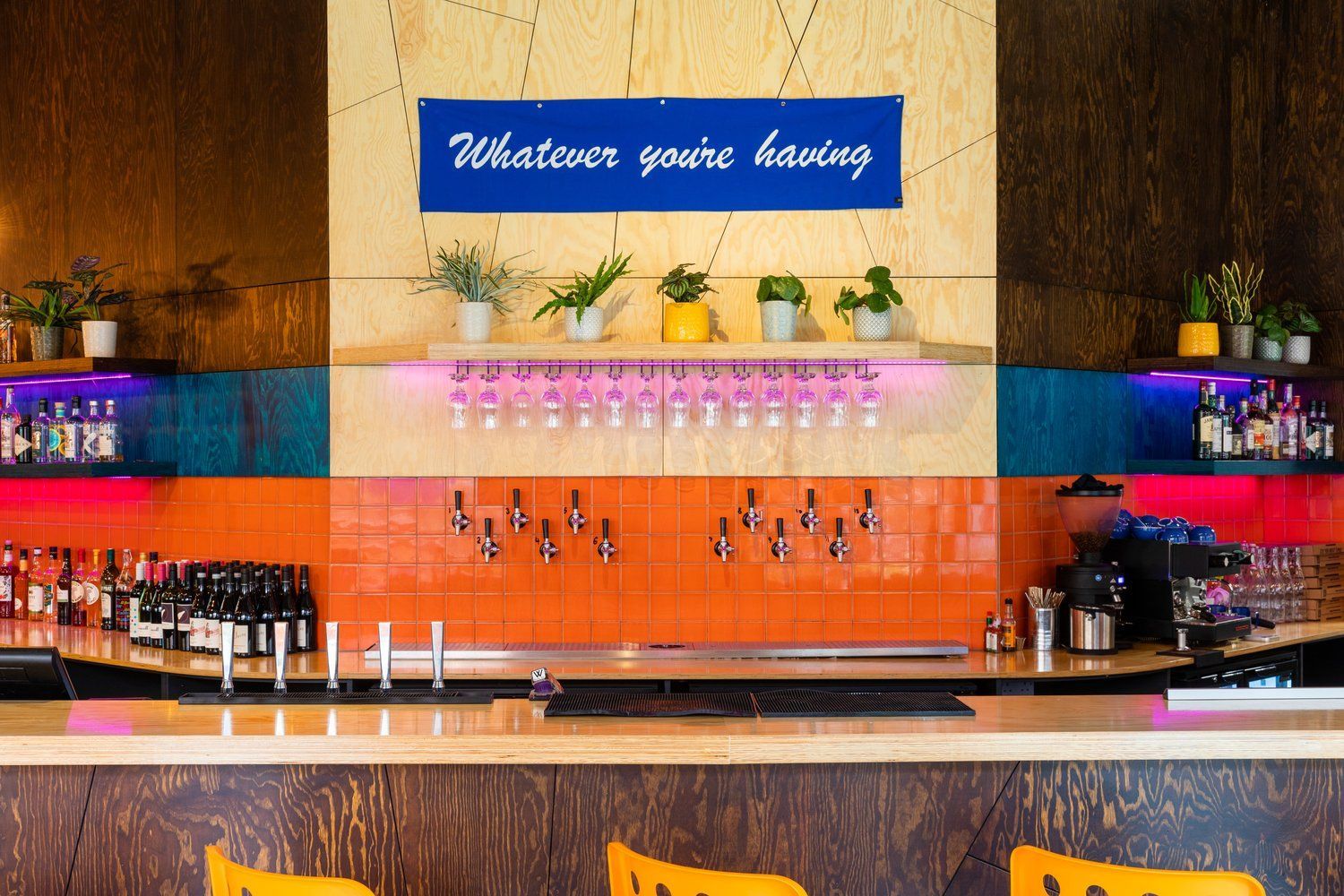 Pine Plywood for countertops