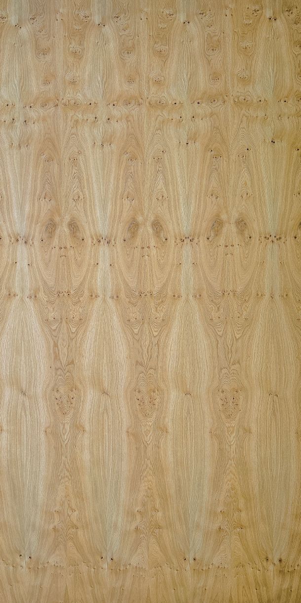 Pippy Oak Rustic Veneered Plywood