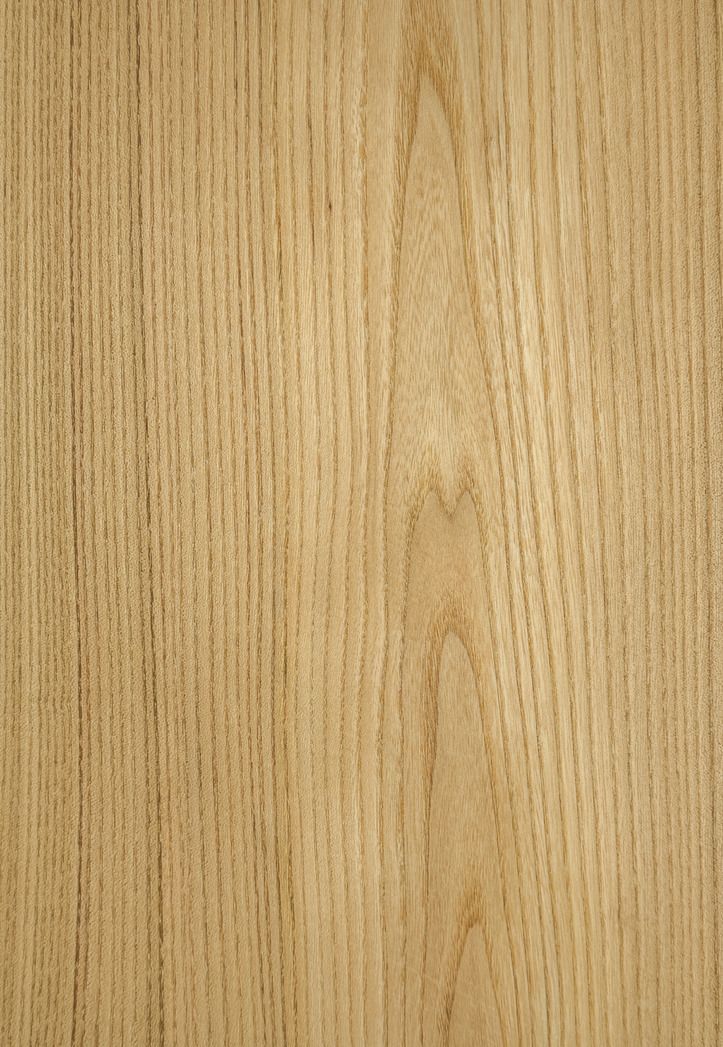 Red Elm veneered panels