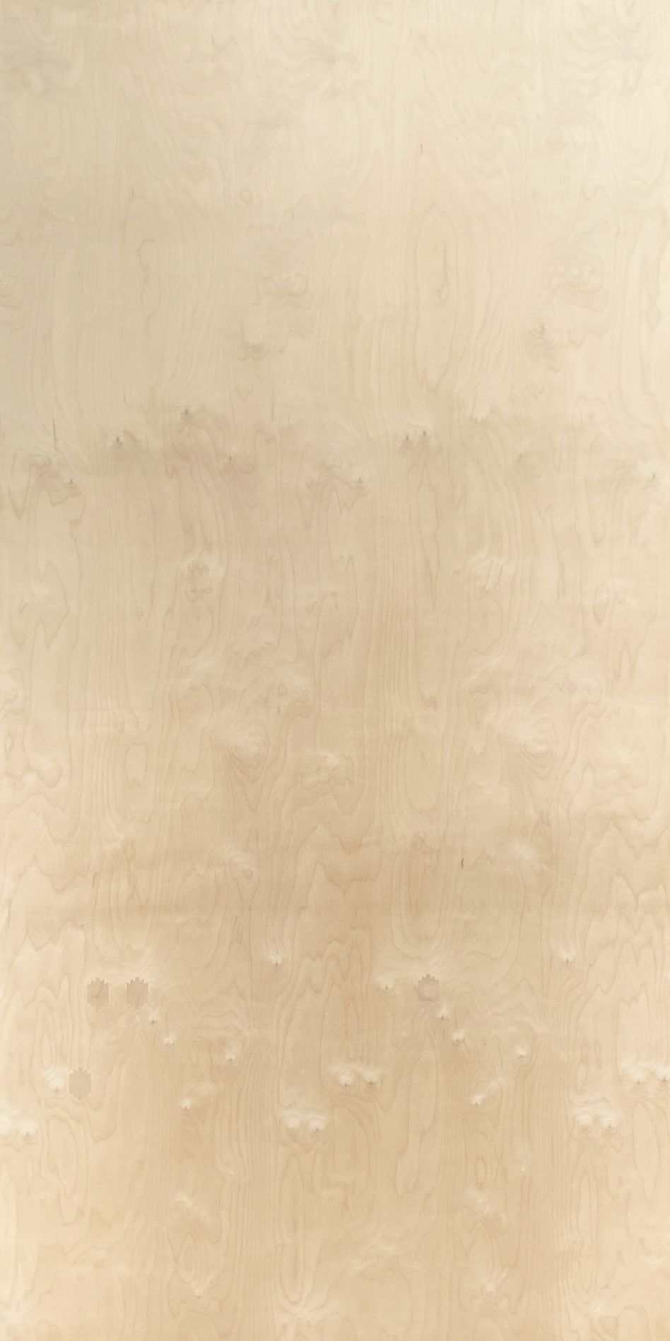 BB Birch Plywood for Wall Lining