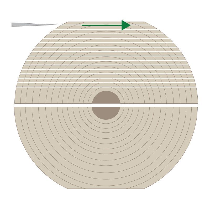 Crown Cut Veneers diagram