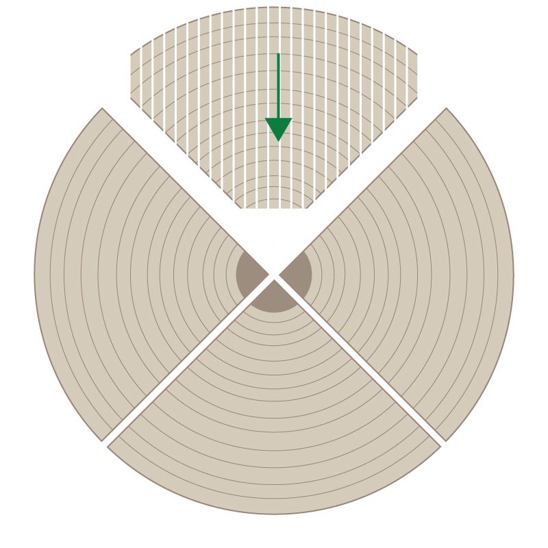 Quarter Cut Veneers diagram