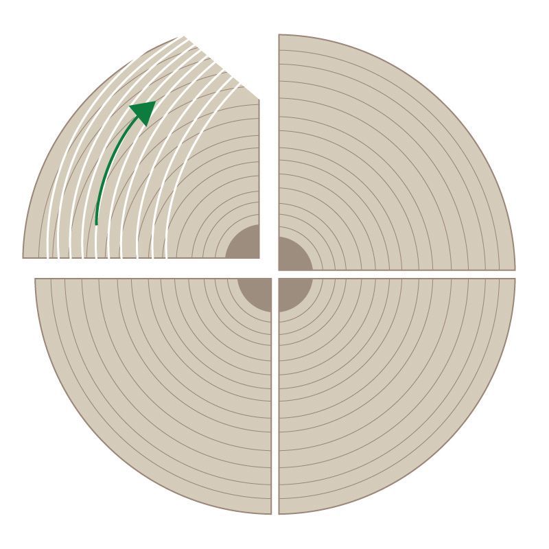 Rift Cut Veneers diagram