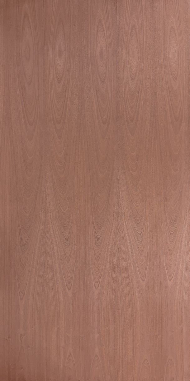 Sapele Crown Cut Veneer on Plywood 8x4
