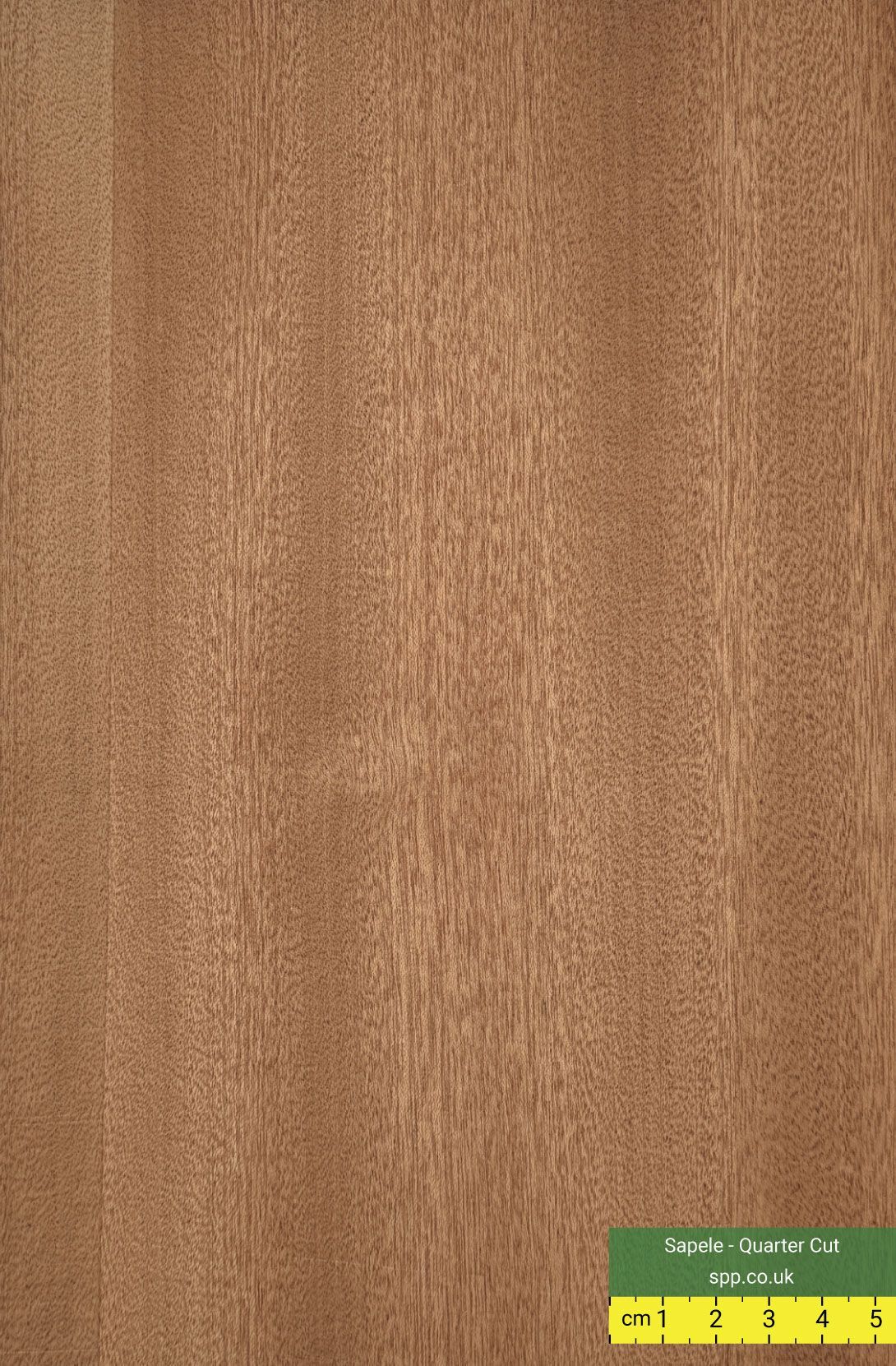 Quarter Cut Sapele Veneered Plywood