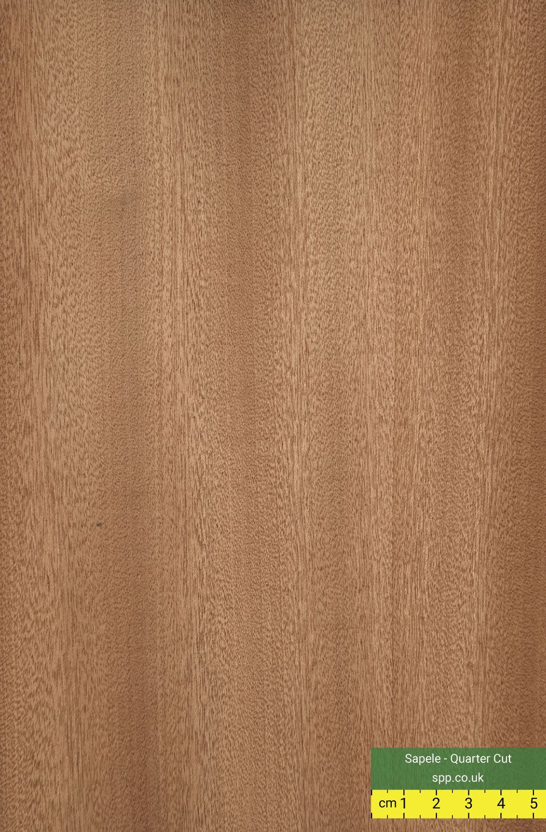 Sapele Quarter Cut Veneered Plywood