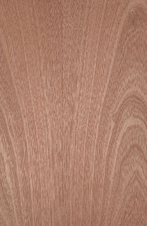 Sapele veneered plywood for furniture