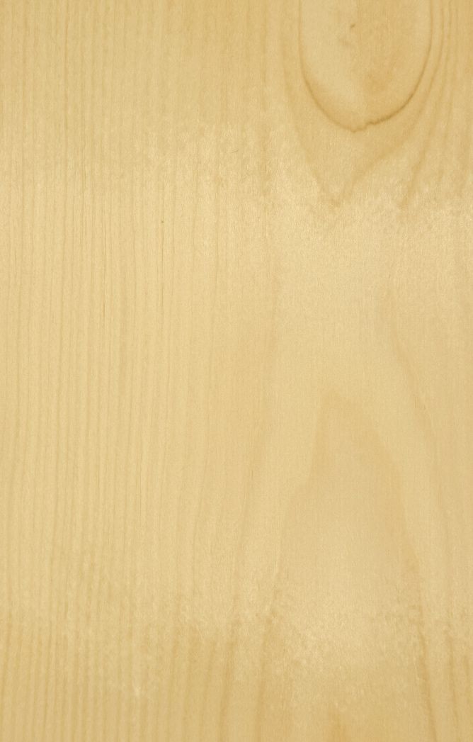 Spruce veneer