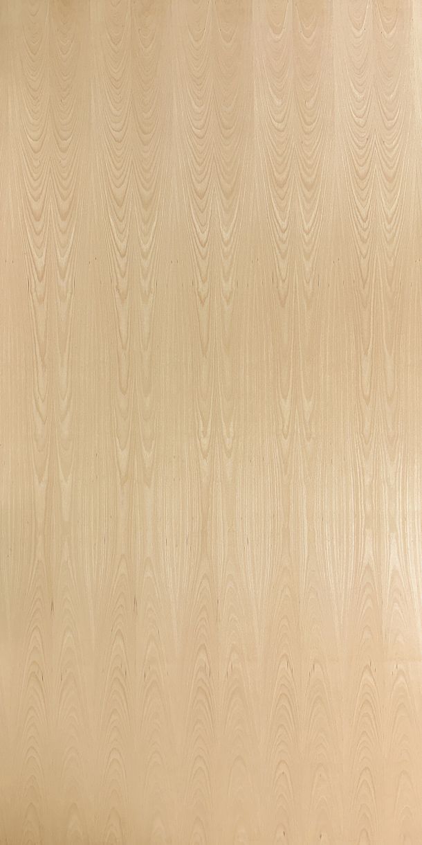 Steam Beech Veneered Plywood
