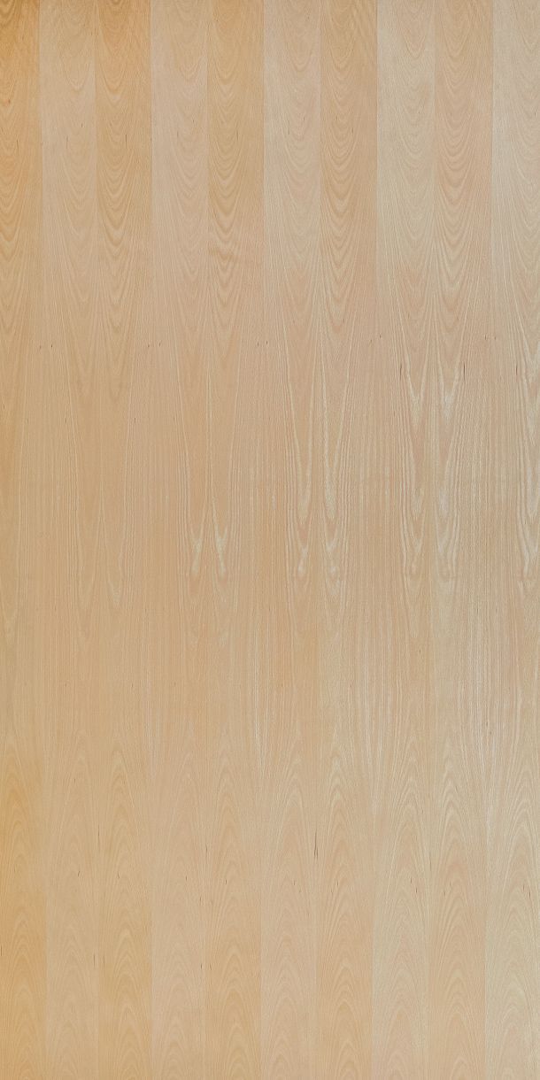 Steamed Beech Veneered Plywood