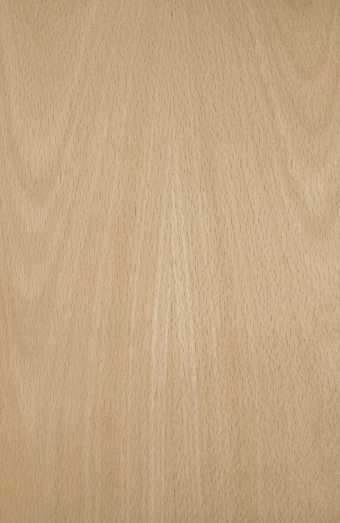 Steamed Beech veneers on plywood
