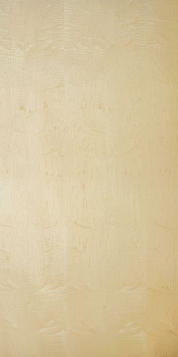 Sycamore Veneered Plywood