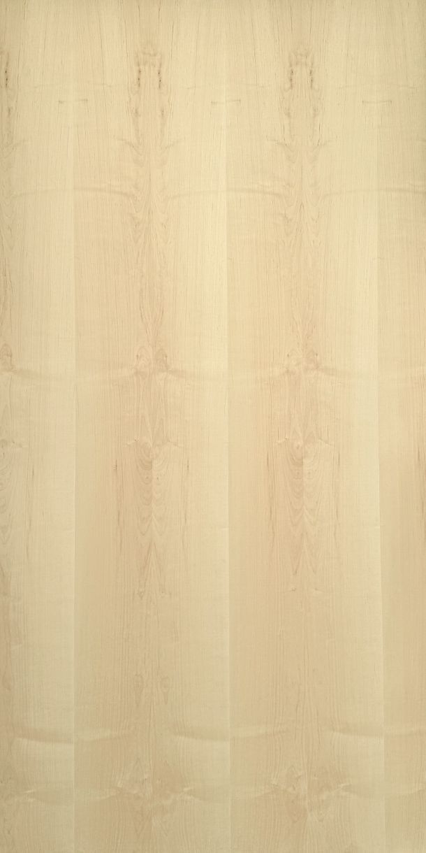 Sycamore Veneered Birch Plywood