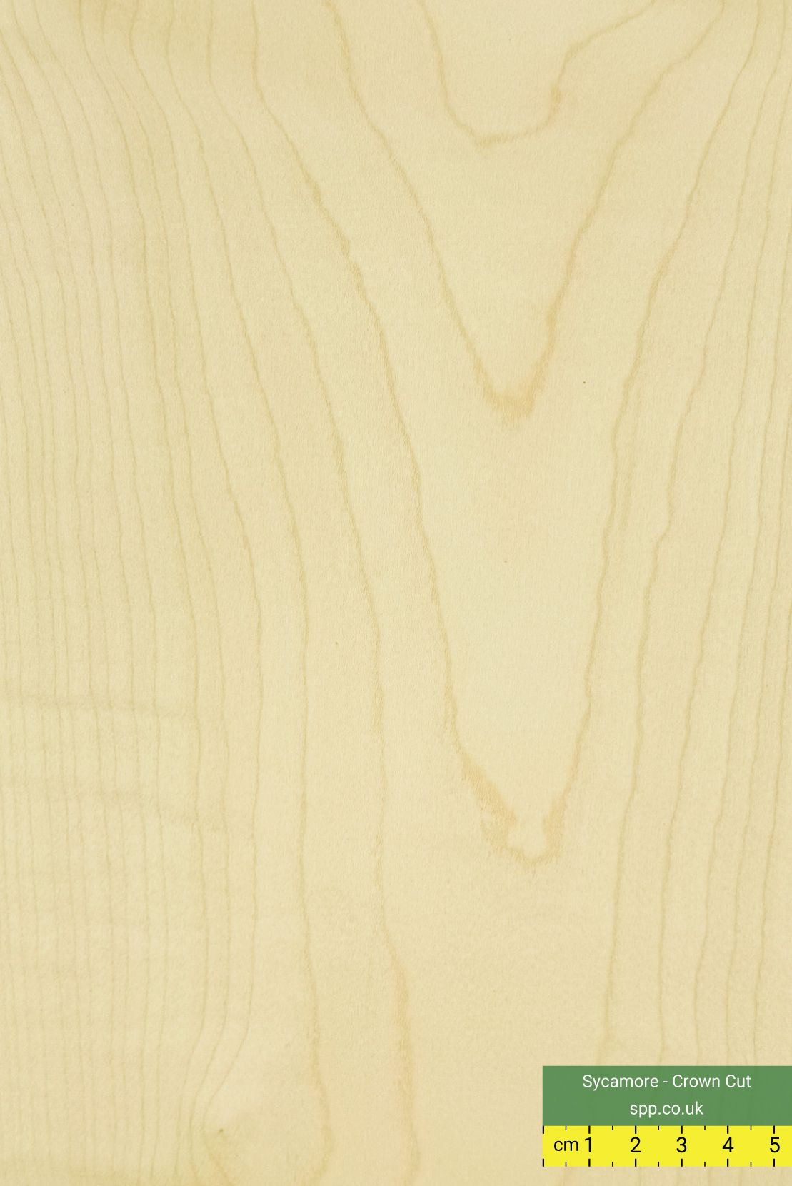 Sycamore veneers on plywood 8x4