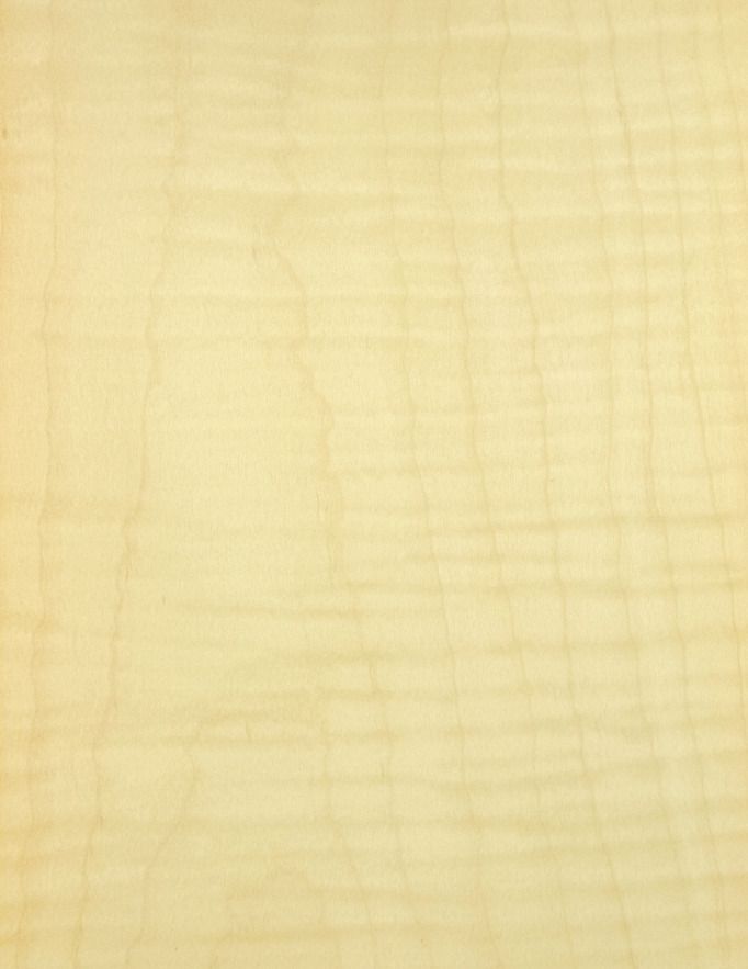 Figured Sycamore veneer