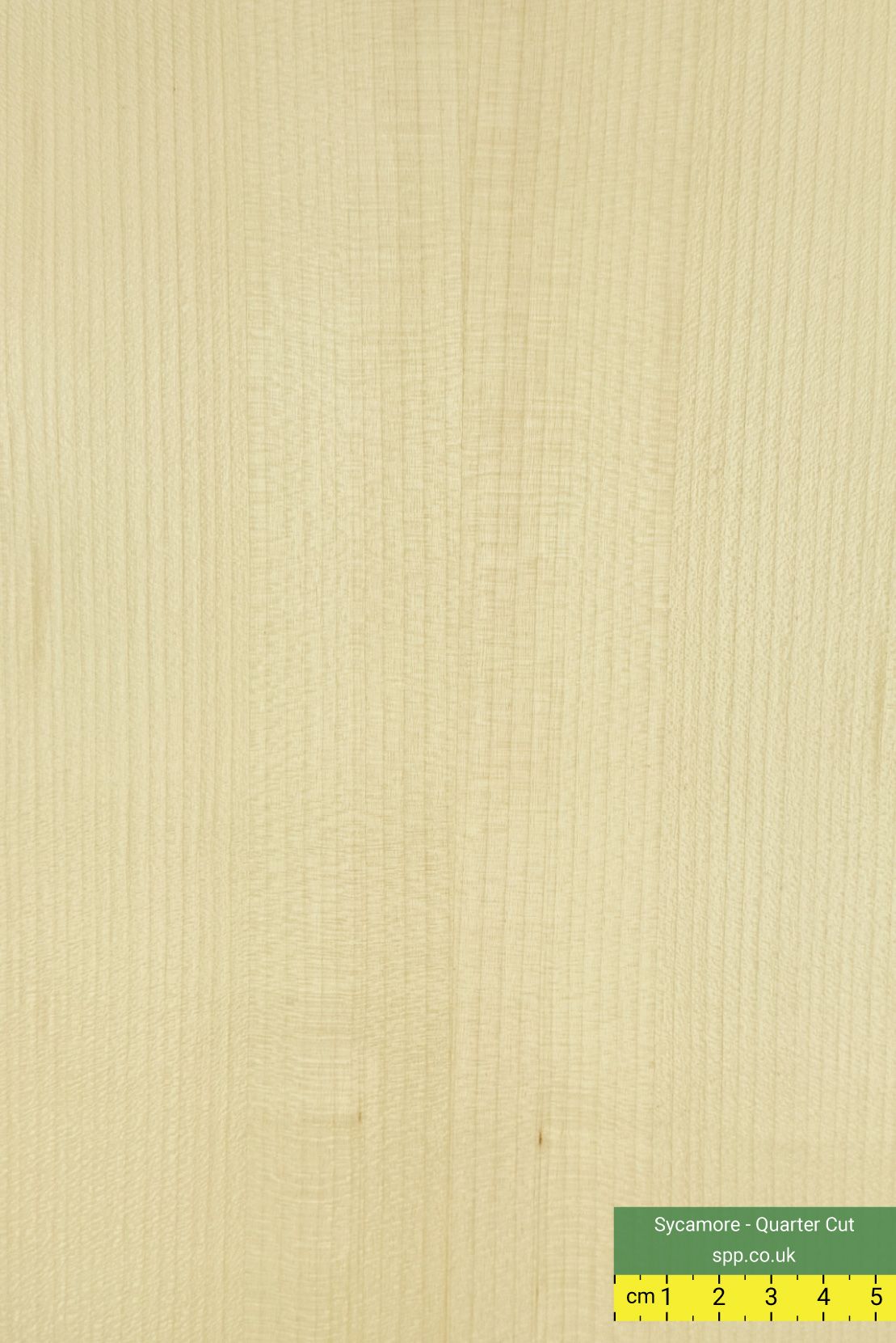 Sycamore faced plywood