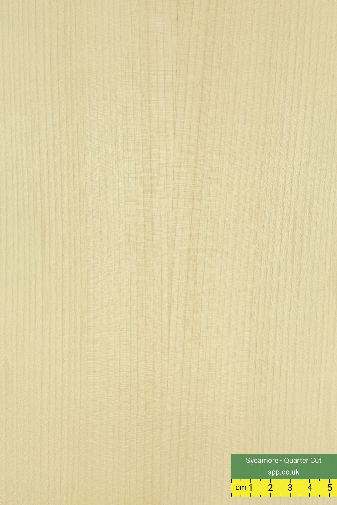 Sycamore veneered ply