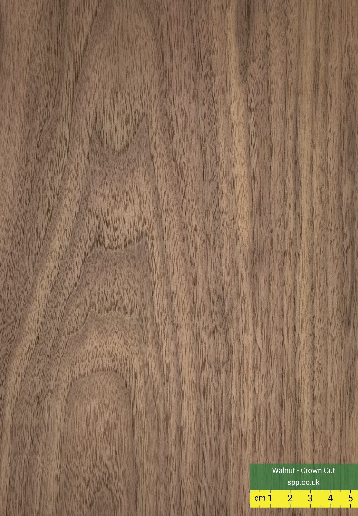 American Walnut Crown Cut Veneers