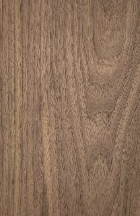 Walnut veneered plywood