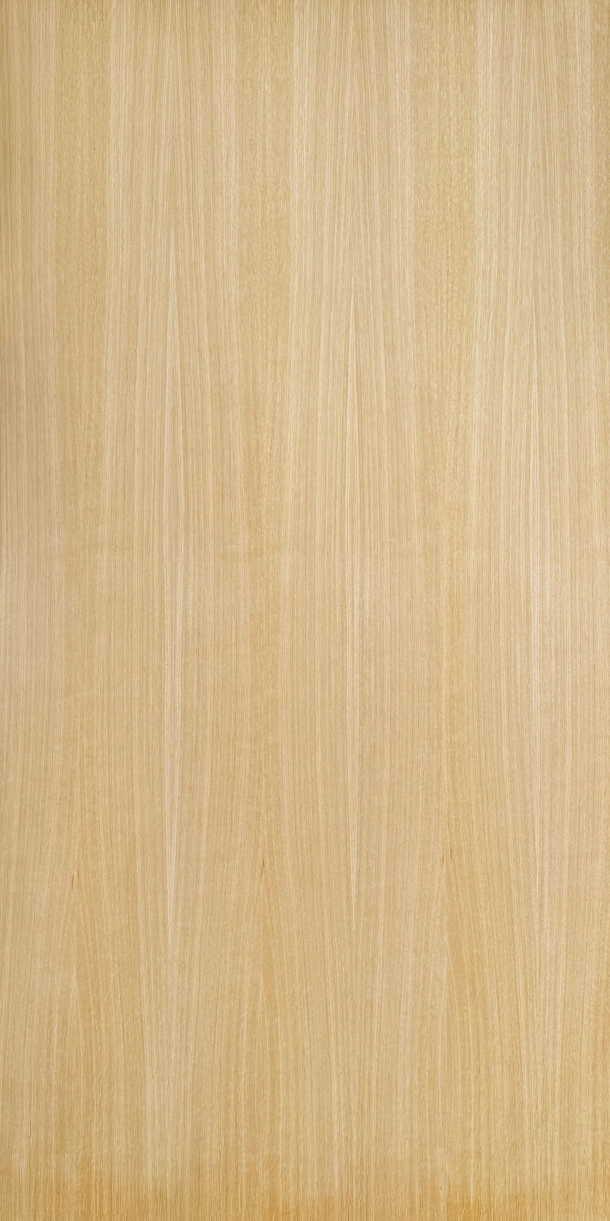 Quarter cut American white Oak 8x4 sheet