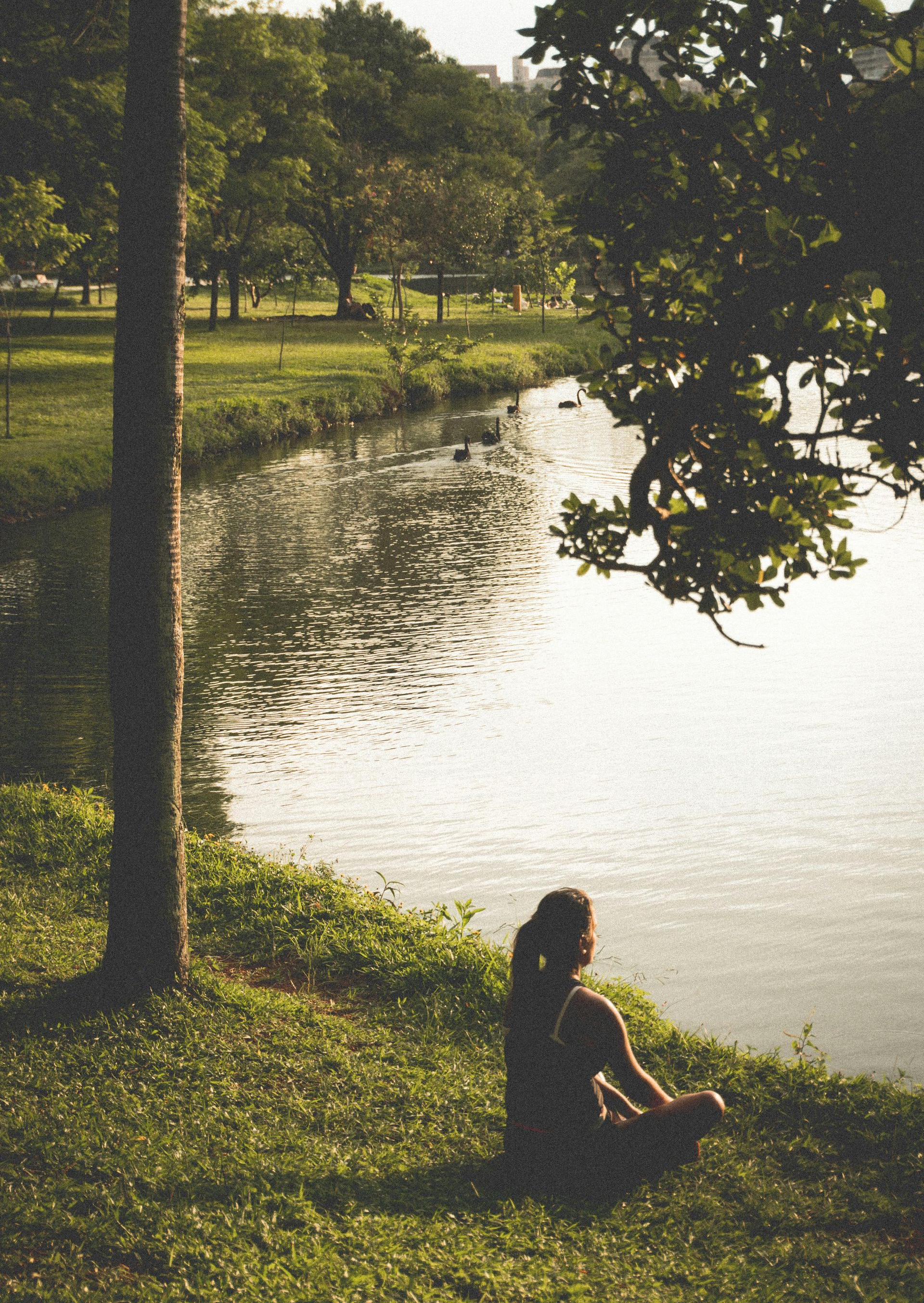 Woman sits by a pond in a park, sunlight glistens on water.