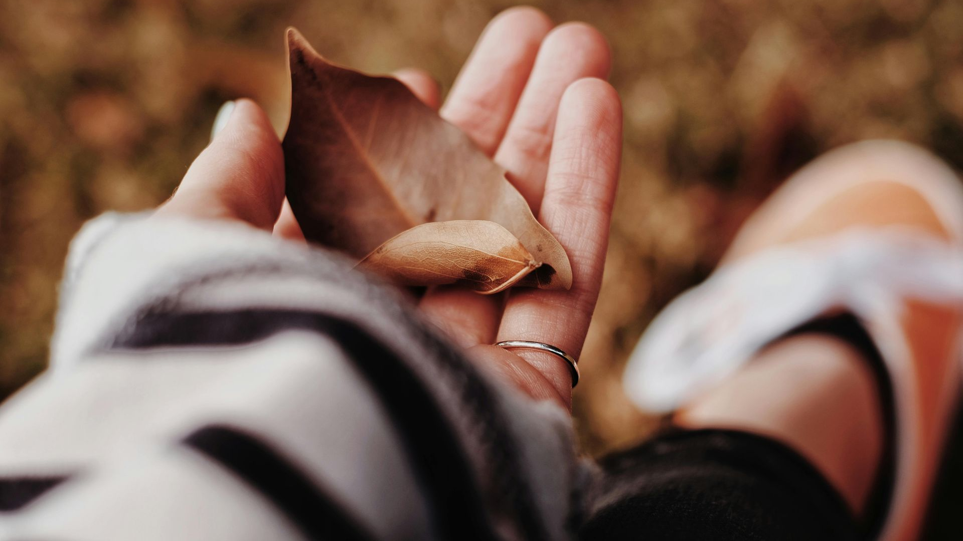 Hand holding a brown leaf and seed, with blurry orange shoe visible.