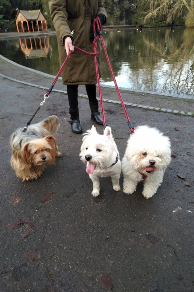Couple holding puppy and smiling