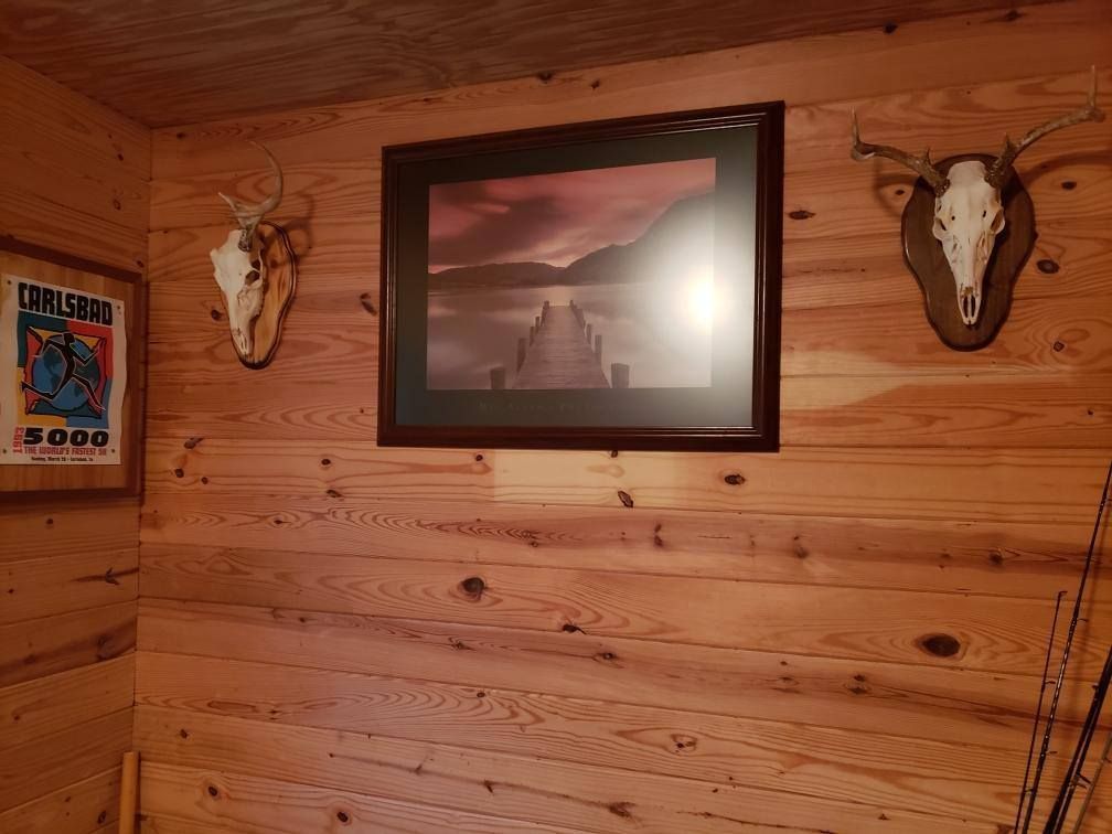 Two deer skulls hang on a wooden wall next to a framed picture