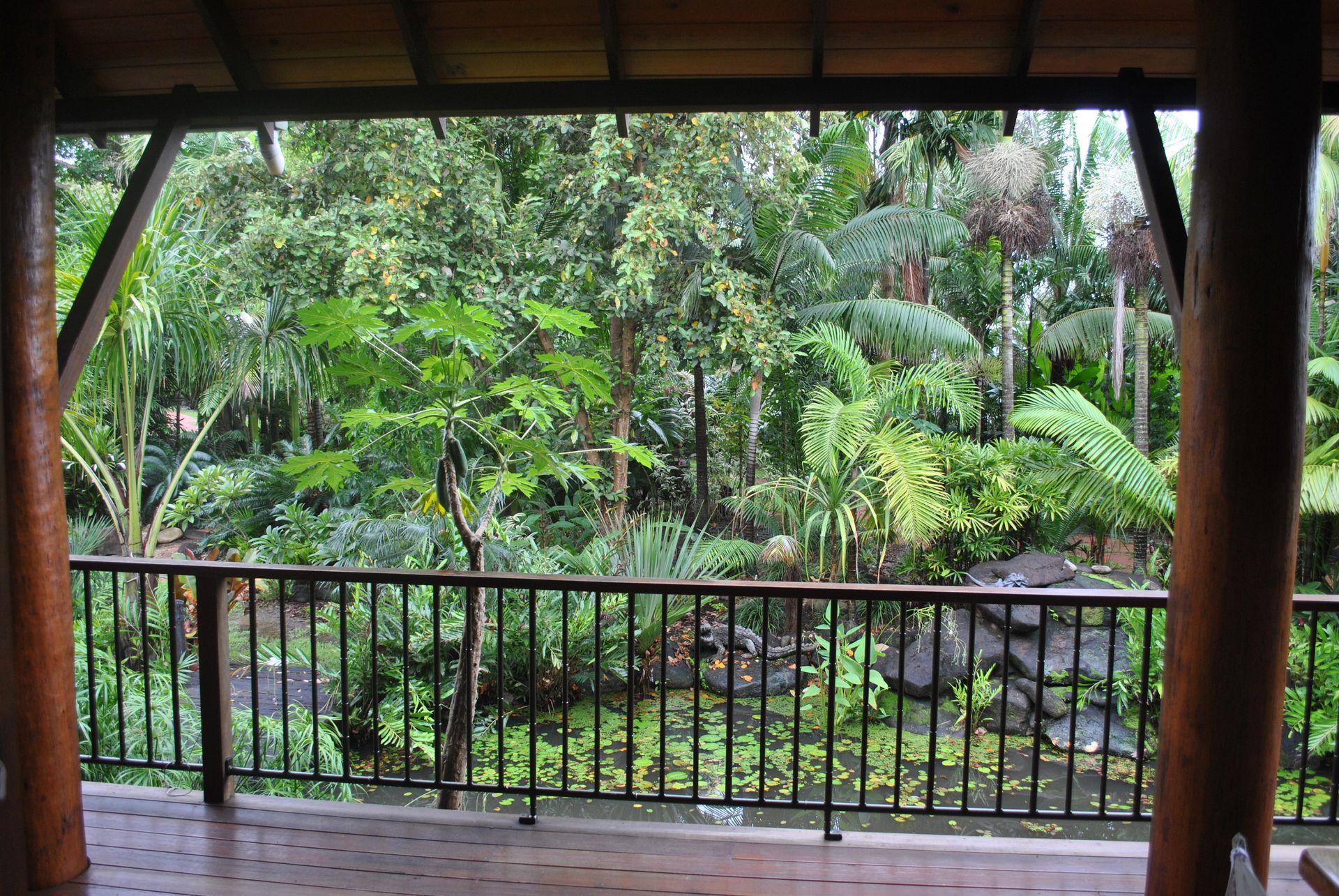 A Vibrant Garden with palm trees and Colorful Flowers — Garden Centre in Bluewater QLD