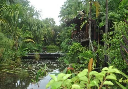 Plants on the resort — Garden Centre in Bluewater QLD