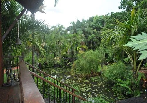 Bungalows with view of a palm trees — Garden Centre in Bluewater QLD