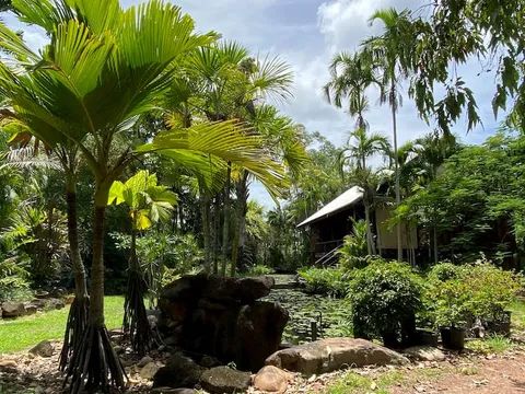 Discover the Vibrant Array of Nurseries Within the Lush Landscapes of Bluewater Palms Gardens — Garden Centre in Bluewater QLD