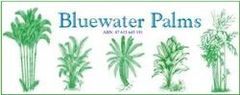 Bluewater Palms: Your Garden Centre in Townsville