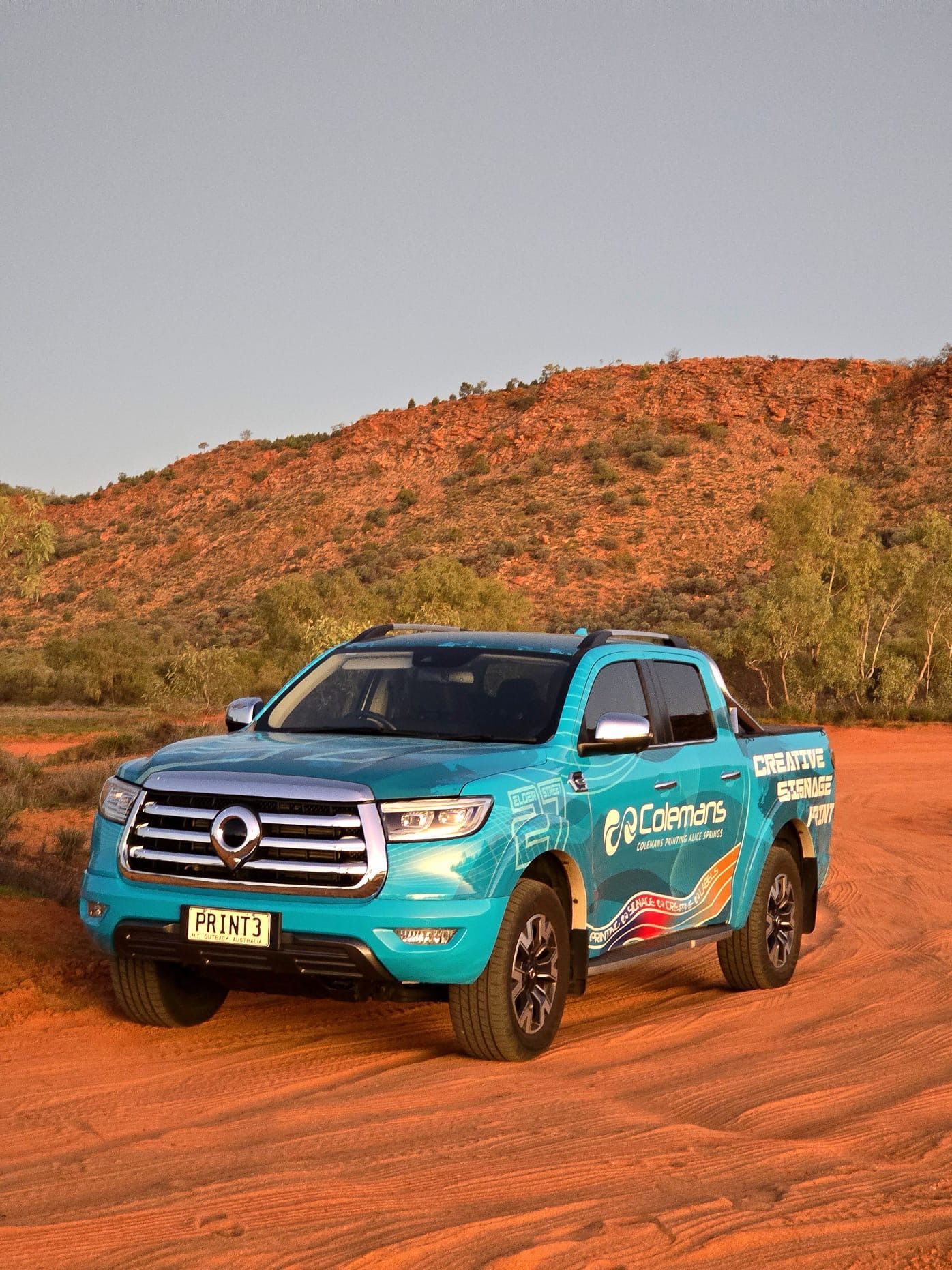 a Colemans Truck is Parked in Front of a Large Crocodile Mural — Pinpoint In Alice Springs, NT