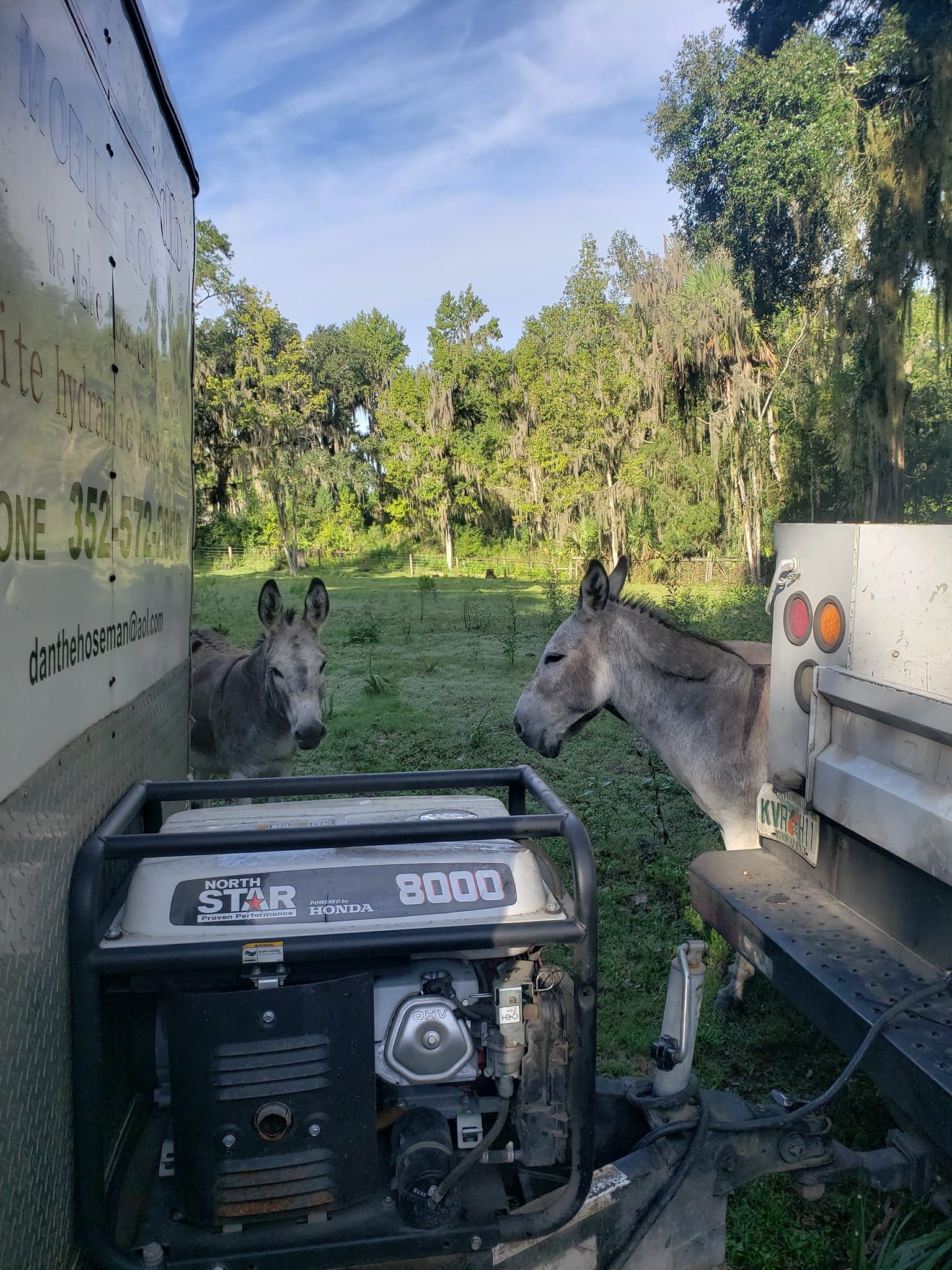 Two donkeys near a generator and truck, looking out into a grassy field with trees under a blue sky.