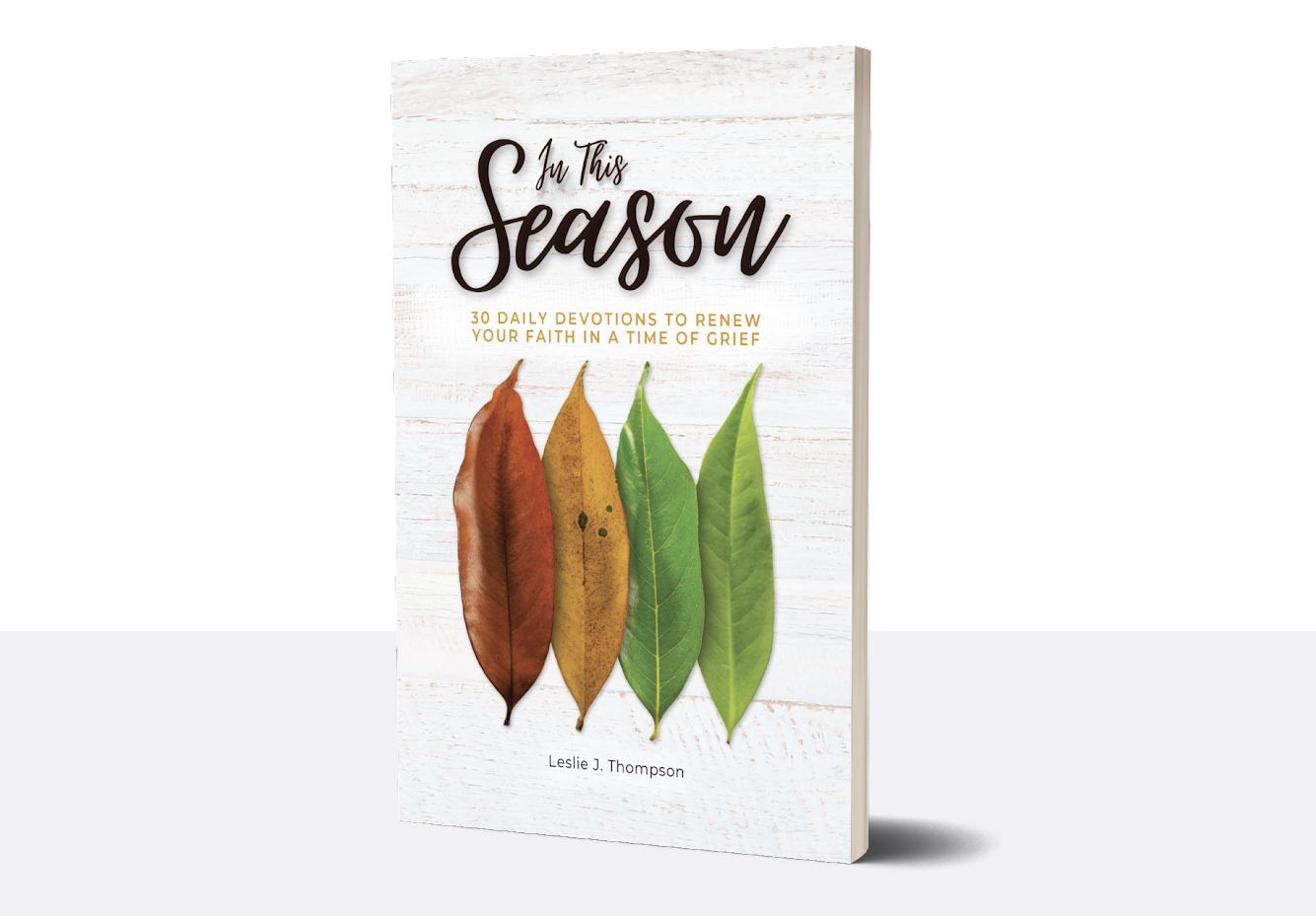 In This Season: 30 Daily Devotions to Renew Your Faith in a Time of Grief