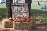 A pumpkin patch with hay bales and pumpkins on display.