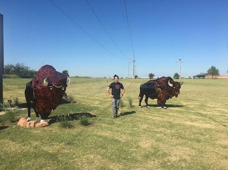A man is standing in a field next to two sculptures of bison.