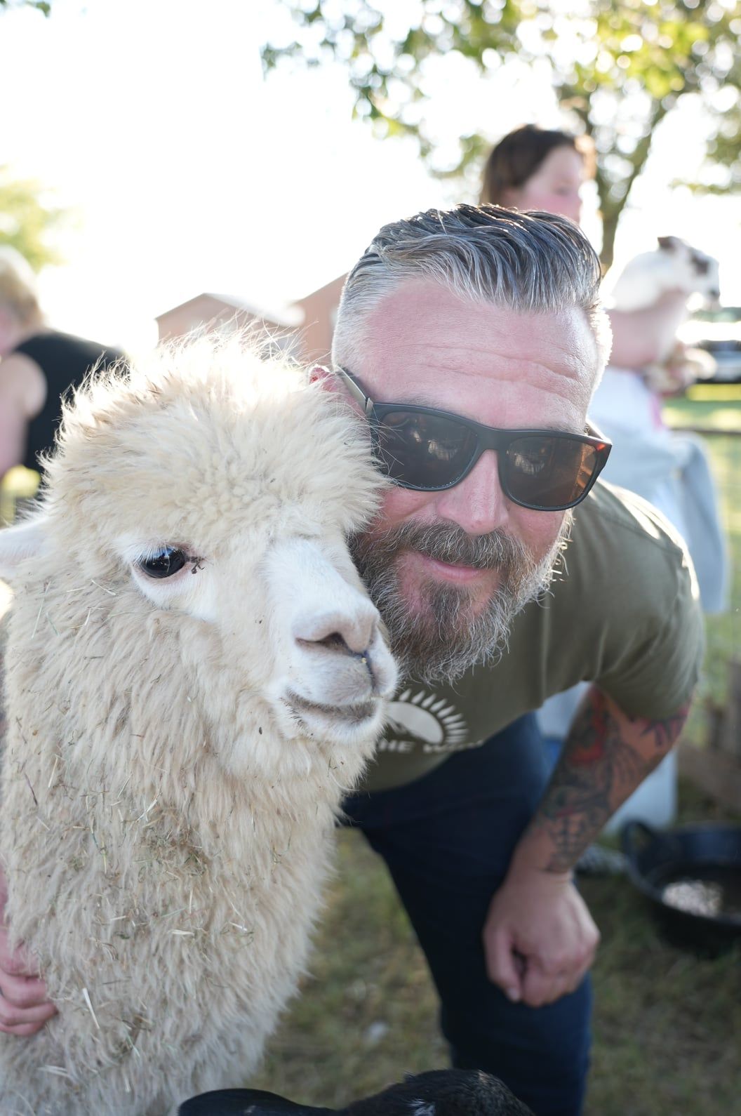 A man with a beard and sunglasses is petting an alpaca