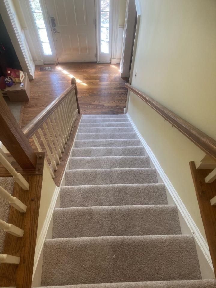Staircase with beige carpet and wooden handrails leading down towards a front door with sunlight.