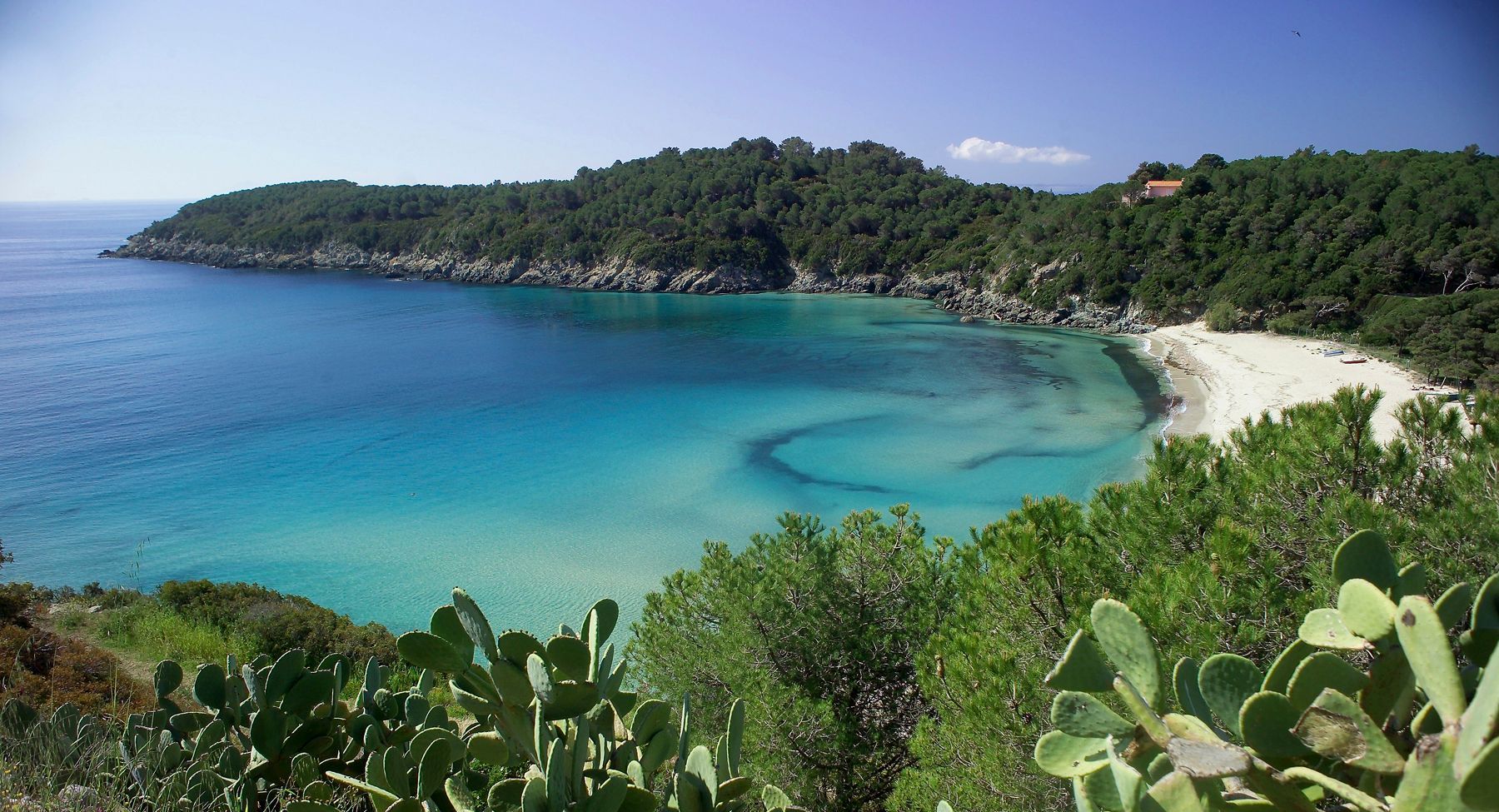 The island of Elba 