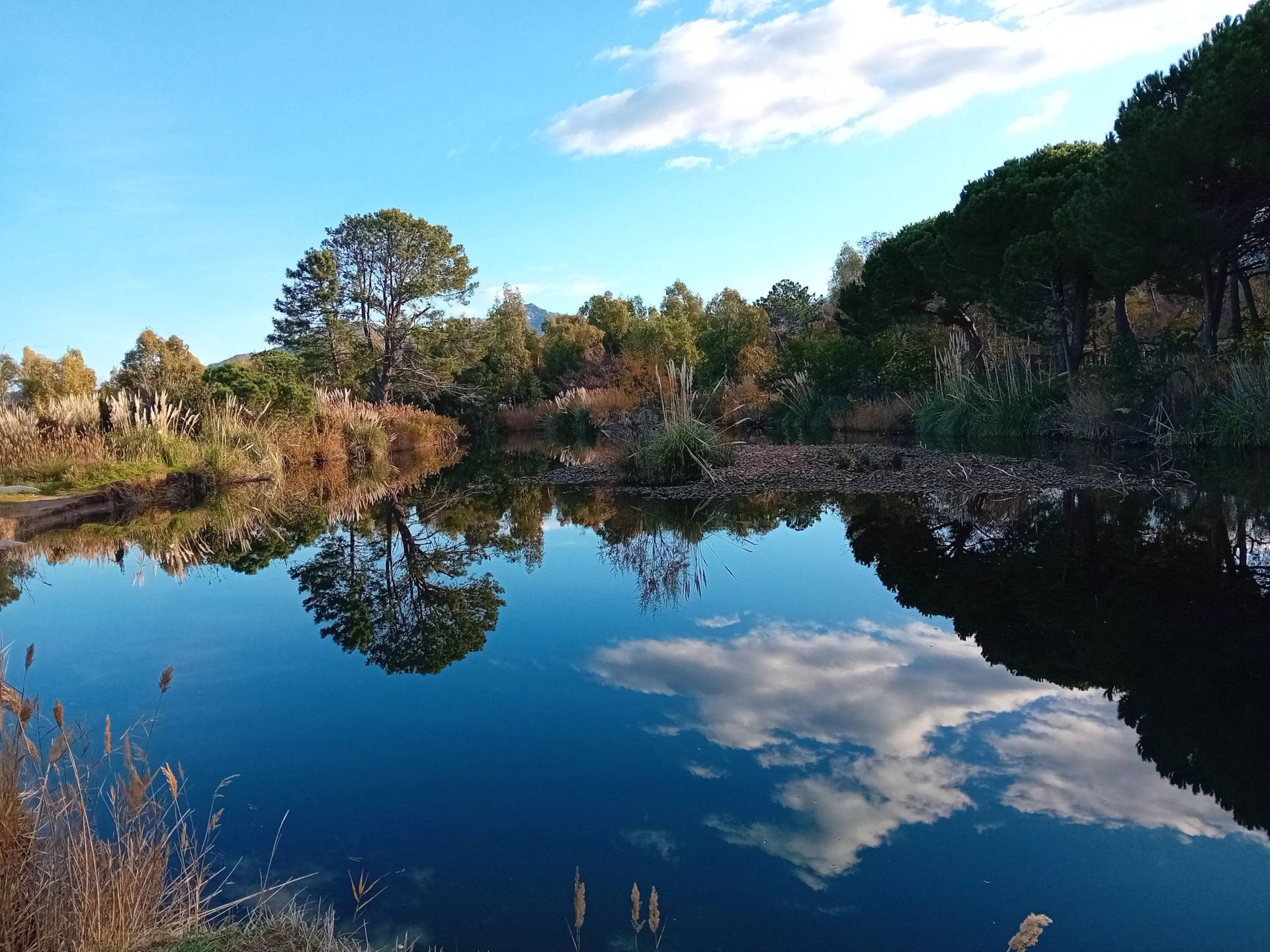 Fishing in Corsica 