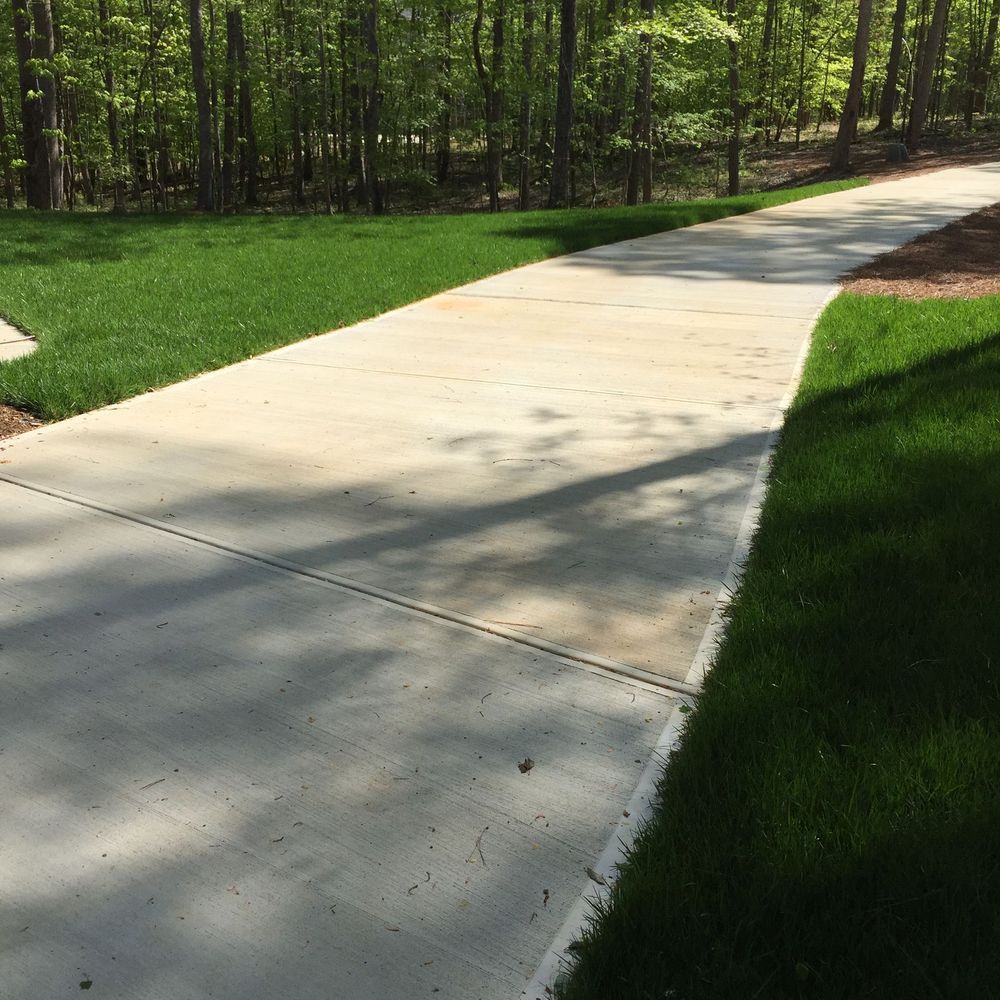 A concrete driveway curves through a lush green lawn toward a forest edge, with dappled sunlight on the pavement.